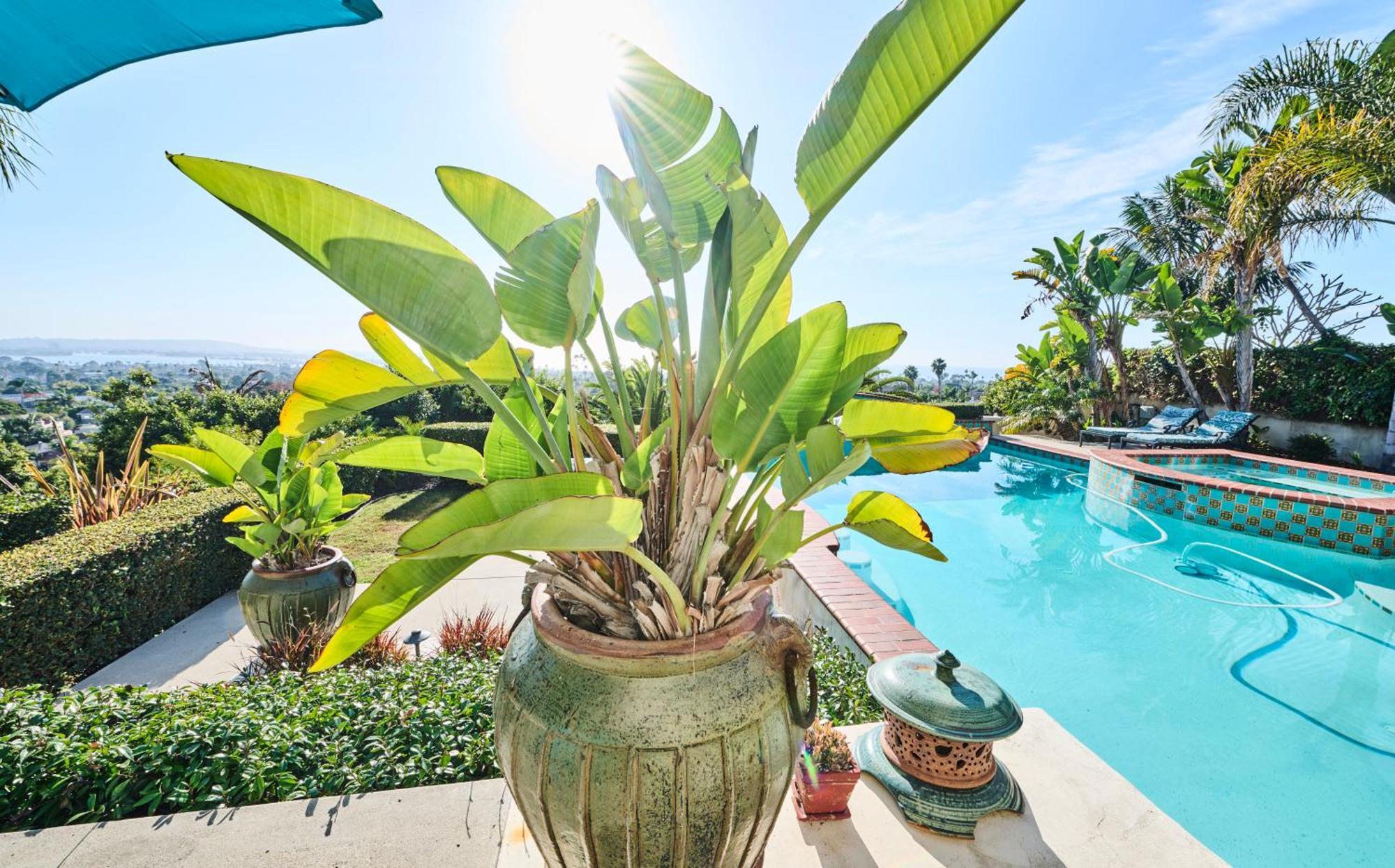 Spacious Guest House, Pool&Spa, Close to Beach! San Diego Exterior foto